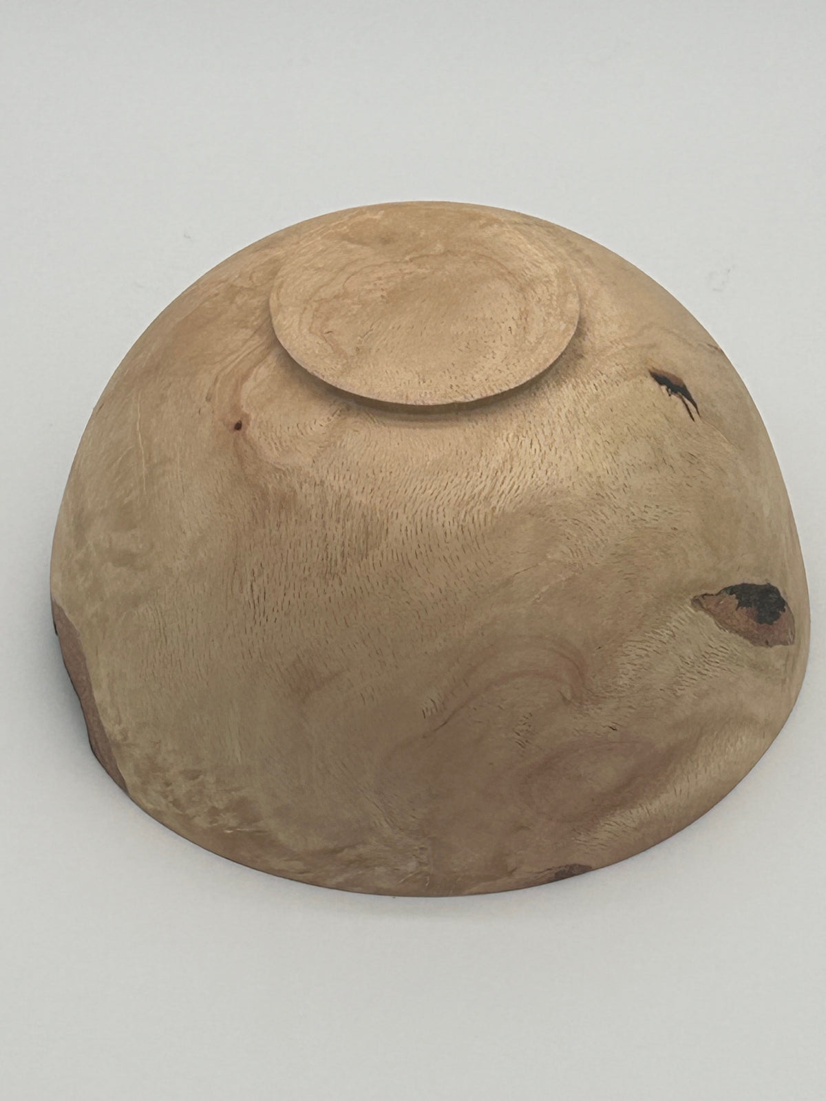 Upcycled 8-in. Laurel Oak Burl Bowl with Bark Pockets (St. Petersburg, FL) — Hand-Turned from Hurricane Milton Wood