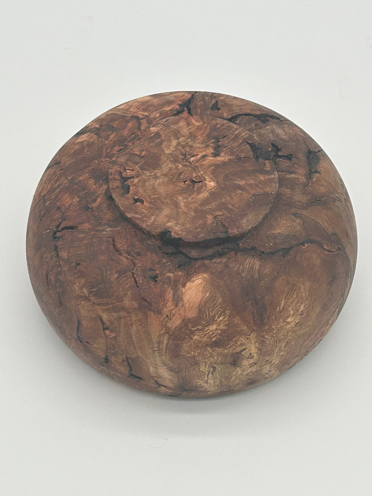 Upcycled 6-in. Spalted Laurel Oak Burl Bowl with Bark Pockets (St. Petersburg, FL)