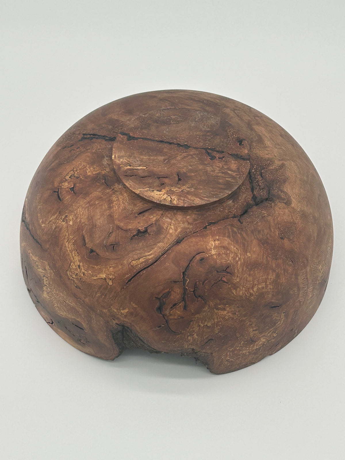 Upcycled 10-in. Oak Burl Bowl with Natural Bark Pockets (St. Petersburg, FL)