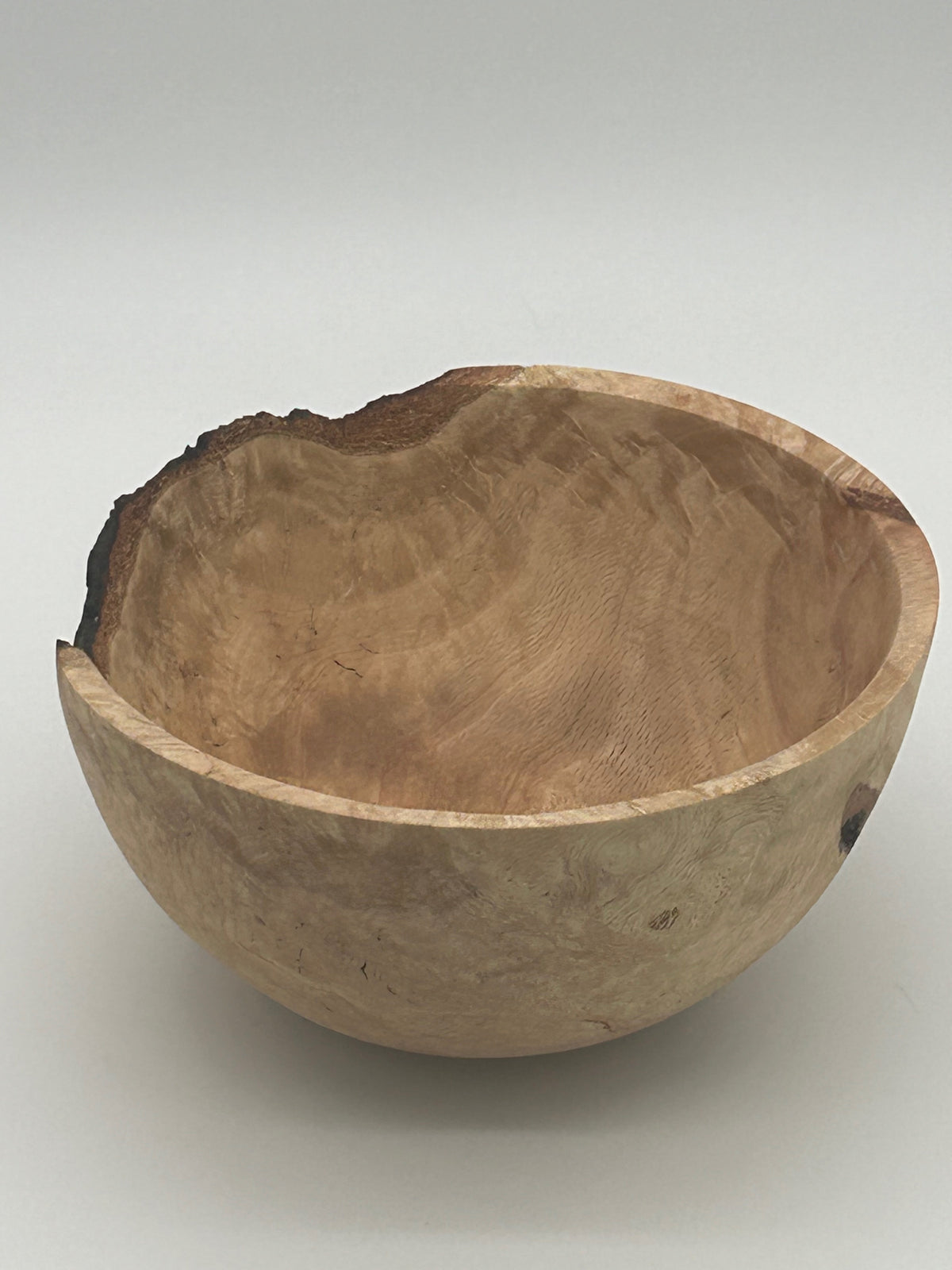 Upcycled 8-in. Laurel Oak Burl Bowl with Bark Pockets (St. Petersburg, FL) — Hand-Turned from Hurricane Milton Wood