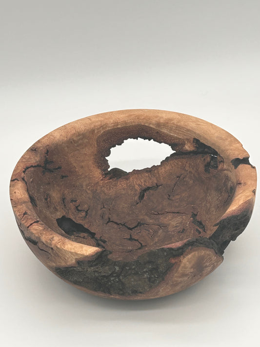 Upcycled 10-in. Oak Burl Bowl with Natural Bark Pockets and Void (St. Petersburg, FL) — Hand-Turned from Hurricane Milton Wood