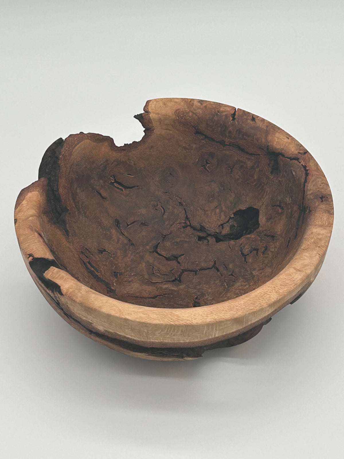 Upcycled 10-in. Oak Burl Bowl with Natural Bark Pockets and Void (St. Petersburg, FL)
