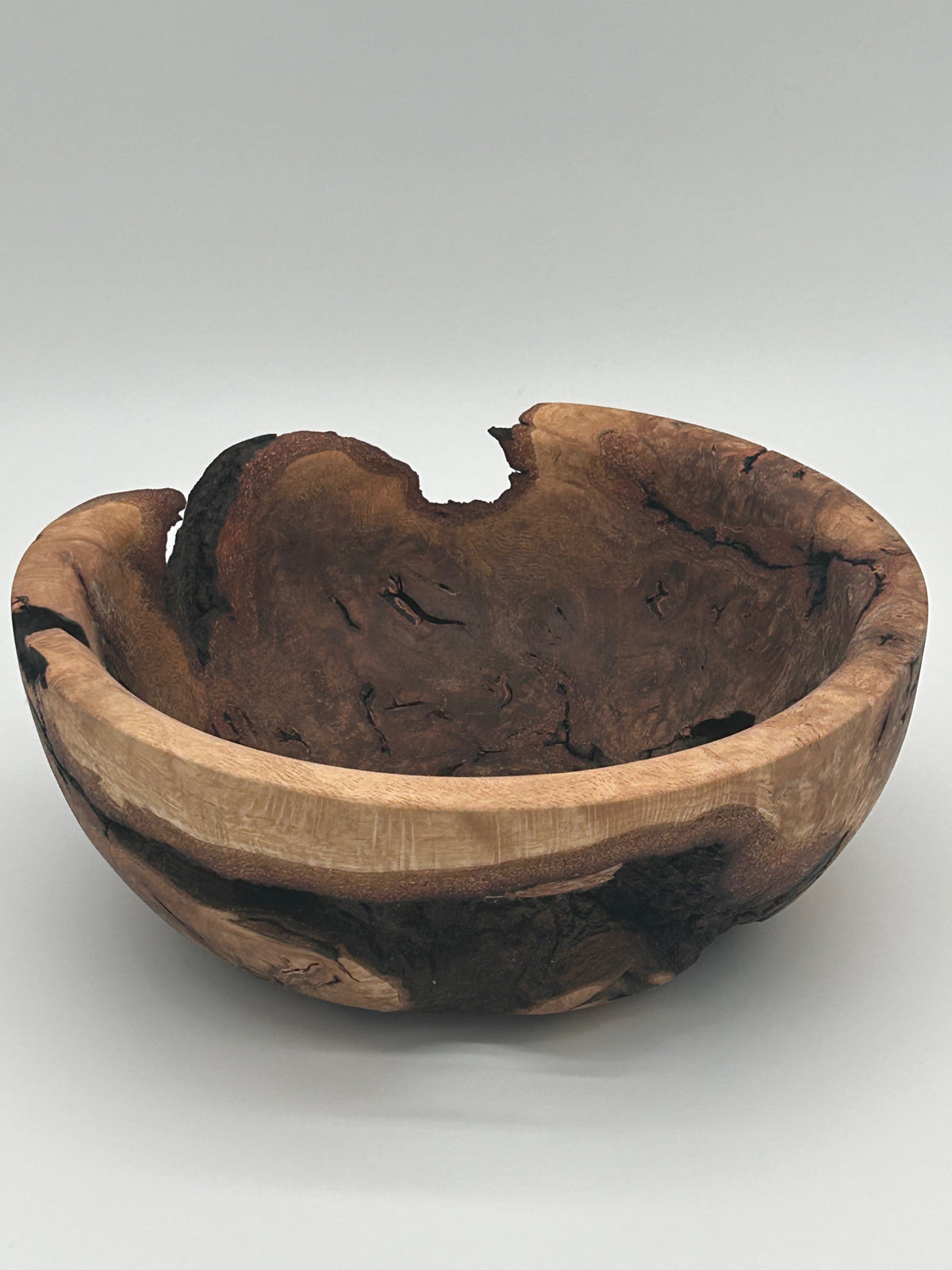 Upcycled 10-in. Oak Burl Bowl with Natural Bark Pockets and Void (St. Petersburg, FL)