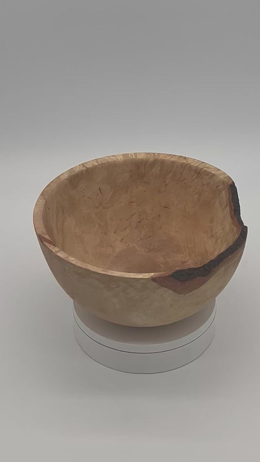 Upcycled 8-in. Laurel Oak Burl Bowl with Bark Pockets (St. Petersburg, FL) — Hand-Turned from Hurricane Milton Wood