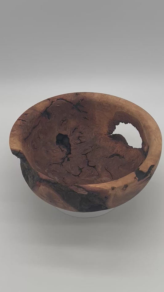 Upcycled 10-in. Oak Burl Bowl with Natural Bark Pockets and Void (St. Petersburg, FL) — Hand-Turned from Hurricane Milton Wood