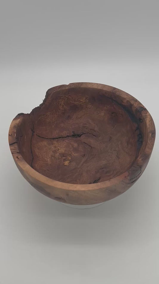 Upcycled 10-in. Oak Burl Bowl with Natural Bark Pockets (St. Petersburg, FL) — Hand-Turned from Hurricane Milton Wood