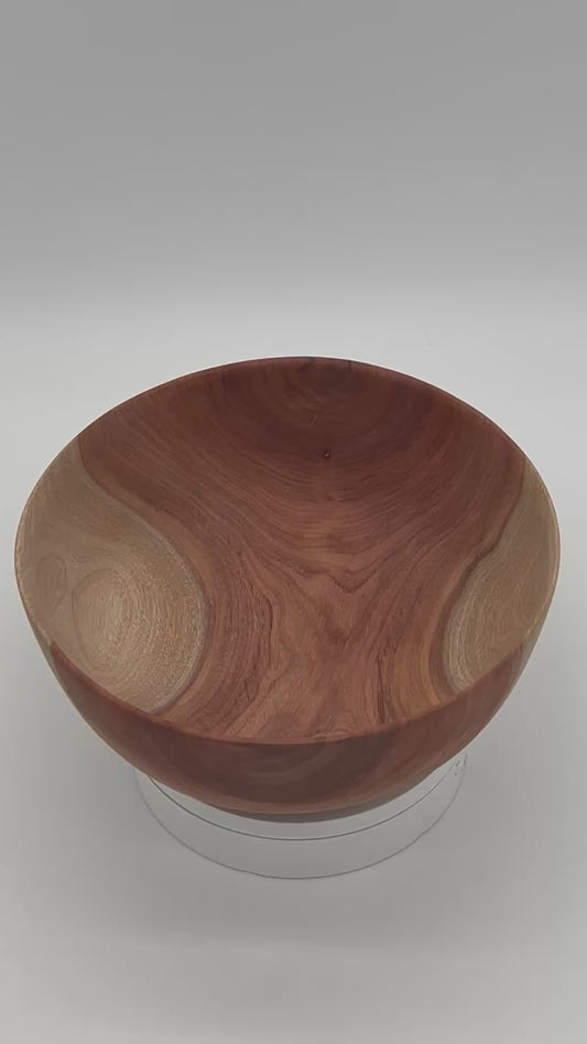 Upcycled 8.5-in. Camphor Bowl (Wesley Chapel, FL)